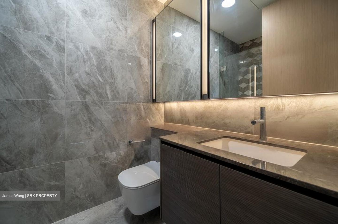 Leedon Green (D10), Condominium #424544341